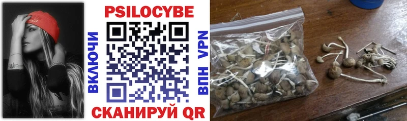Галлюциногенные грибы Cubensis Спасск